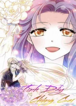 TÌNH ĐẦY CHÔNG GAI